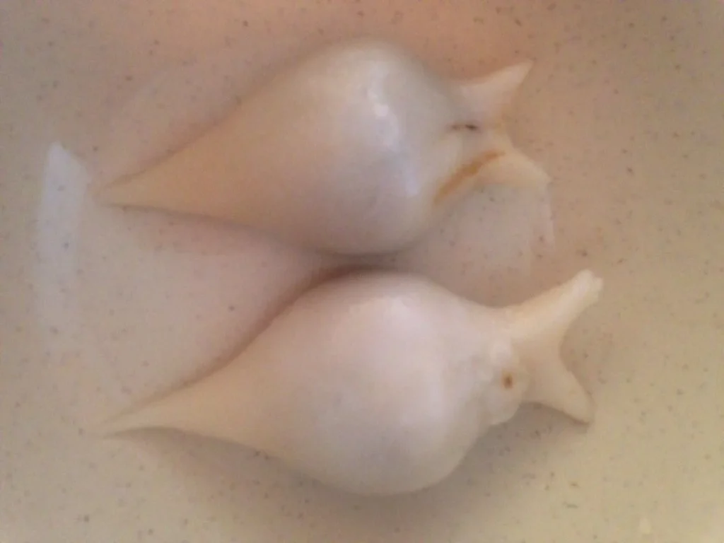 Yomari, the beloved Newari sweet